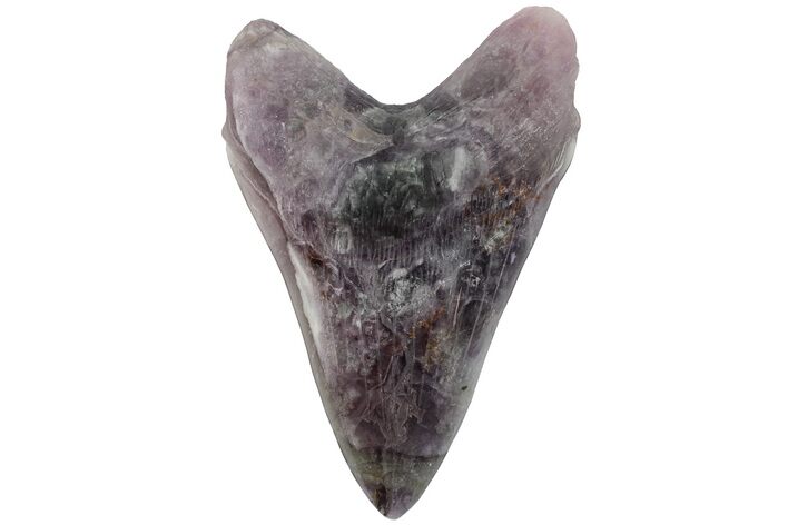 7.4" Realistic, Carved Purple Fluorite Megalodon Tooth - Replica - Photo 1